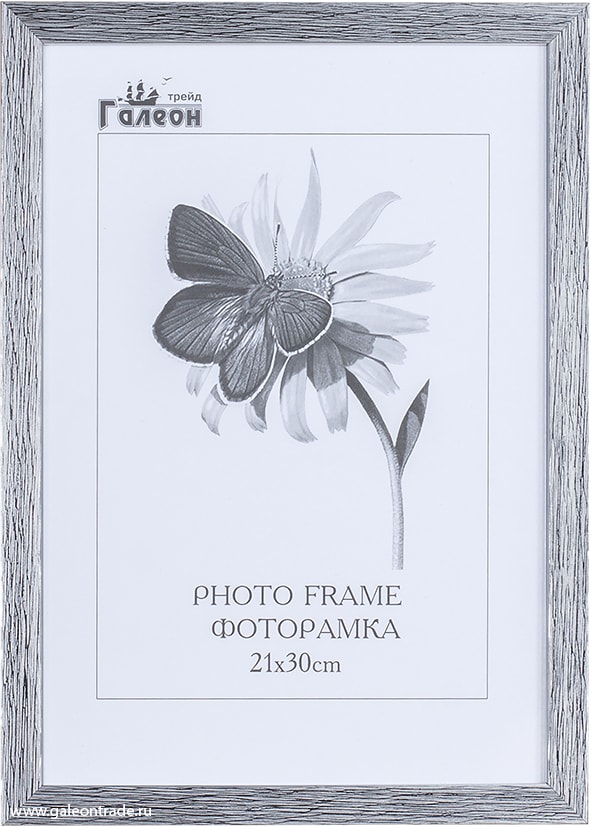 631978 Фоторамка 21х30  